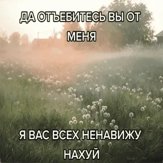 🪦 ДА ОТЪЕБИТЕСЬ ВЫ ОТ МЕНЯ
Я ВАС ВСЕХ НЕНАВИЖУ
НАХУЙ รัสเซีย, ทิวทัศน์, ดอกแดนดิไลอัน, หยาบคาย, ข้อความ telegram sticker