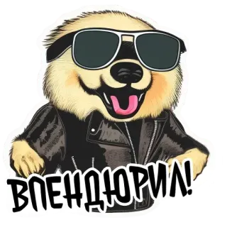 💪 ВПЕНДЮРИЛ! animal, dog, sunglasses, leather jacket, cartoon telegram sticker
