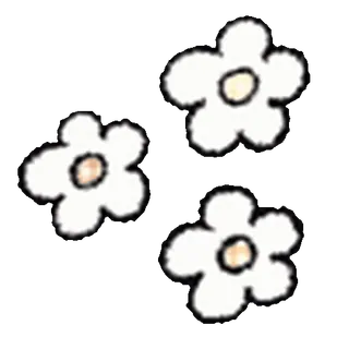 🌺
