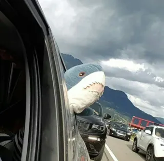 🚙 shark, plush toy, car, road, traffic, mountains, travel whatsapp sticker