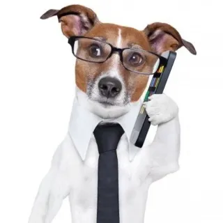 📱 dog, glasses, tie, business, phone, animal telegram sticker