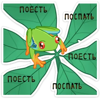 Квакша (@TgSticker) whatsapp stickers