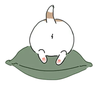 🙈 gatto, cuscino, carino, animale, sedere telegram sticker