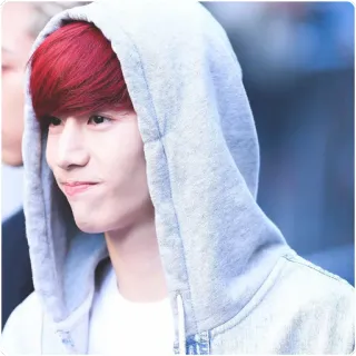 😊 Person, rote Haare, Hoodie, Mann, casual, Porträt, jung, Koreaner telegram sticker