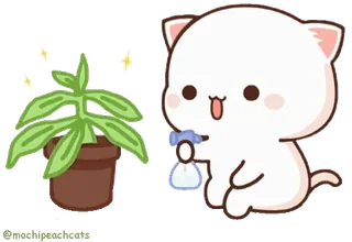 🪴 gato, planta, riego, lindo, dibujos animados, gatito telegram sticker