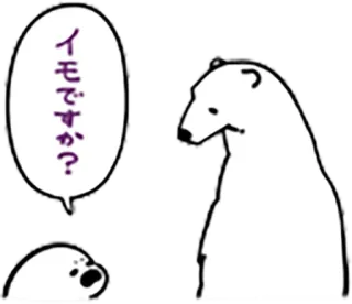 😒 イモですか? Eisbär, Seehund, Tier, Gespräch, Frage, Illustration whatsapp sticker