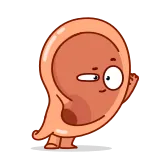 👂 orelha, desenho animado, parte do corpo, órgão telegram sticker