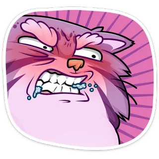 😡 gato zangado, gato, zangado, desenho animado, adesivo telegram sticker