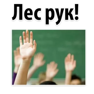 🌲 Лесрук! studenti, aula, alzata di mano, istruzione, scuola, russo telegram sticker