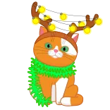 cat Jupiter telegram stickers