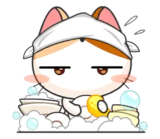 🍽 chat, lavage, bulle, mignon, dessin animé whatsapp sticker