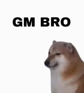 Cheems// @doge69 // @ZoldyckStickers telegram stickers