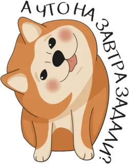 Веские поводов бросить универ - @otch1sleno telegram stickers
