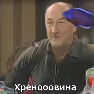 😄 Хреноооовина engraçado, russo, meme, expressão facial, homem de meia-idade telegram sticker