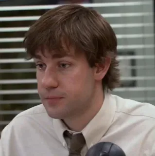 🗞 Jim Halpert The Office the office, jim halpert, serie, porträt, traurig telegram sticker