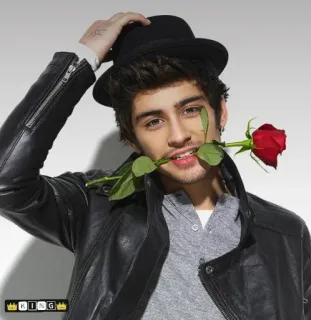 🌹 Zayn Malik KING mann, hut, rose, jacke, person, sänger telegram sticker