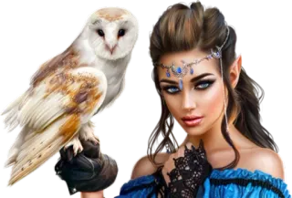 🦉 búho, mujer, fantasía, retrato, elfo telegram sticker