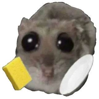 🍽 Japanese dwarf flying squirrel japanese dwarf flying squirrel, momonga, squirrel, sponge, dish, cute, washing dishes, meme telegram sticker