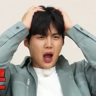 😱 choc, surprise, Kim Seon-ho, coréen, acteur telegram sticker