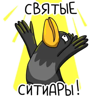 👻 СВЯТЫЕ СИТИАРЫ! bird, crow, cartoon, sticker, funny, humor whatsapp sticker
