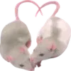 🐁