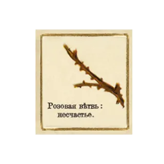 😱 Розовая вѣтвь: несчастье. branche, rose, russe, texte, malheur telegram sticker