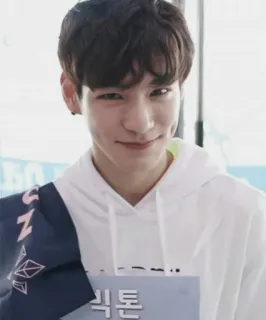 😏 익톤 persona, felpa con cappuccio, coreano, sorriso whatsapp sticker