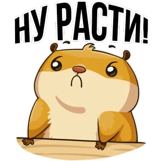 😭 НУ И РАСТИ! แฮมสเตอร์, น่ารัก, สติกเกอร์, สัตว์, ตลก, การ์ตูน telegram sticker