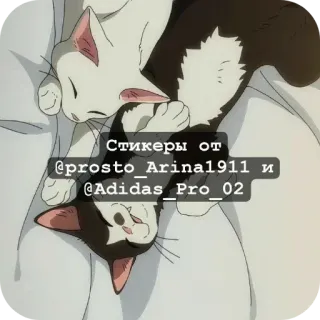 ❤ Стикеры от @prosto_Arina1911 и @Adidas_Pro_02 gato, pegatina, durmiendo, mascota, animal telegram sticker