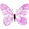 🦋