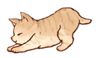😴 chat, chaton, étirement, animal, animal de compagnie, mignon, chat domestique telegram sticker