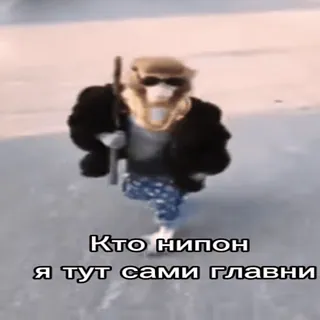 Больше стиков тут: @stikery4 telegram stickers