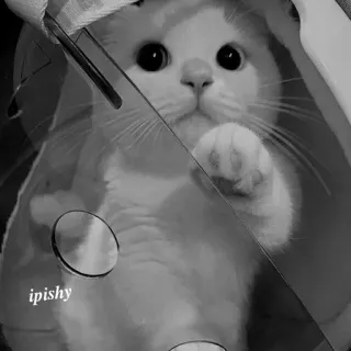 🕸 ipishy 猫, 可爱, 动物, 贴纸, 宠物 telegram sticker