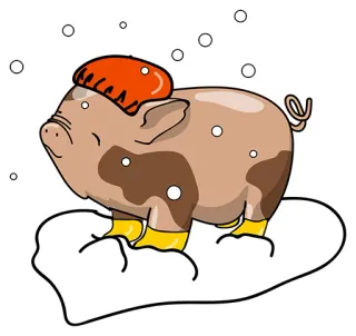 👍 cerdo, animal, invierno, nieve, lindo, dibujos animados, ilustración whatsapp sticker