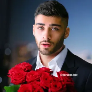 🌺 Zayn Malik @per.zayn.fect ゼイン・マリク, バラ, 花, ポートレイト, 歌手, セレブ telegram sticker