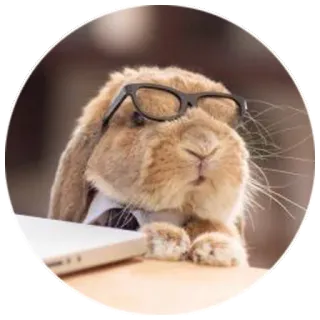 🙄 rabbit, glasses, office, animal, cute, bunny telegram sticker