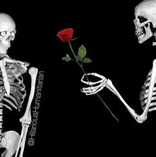 😒 @HilariousHumanitarian esqueleto, rosa, amor, dark, gótico, valentines day, romântico telegram sticker