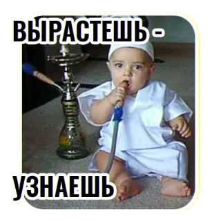 👶 ВЫРАСТЕШЬ -
УЗНАЕШЬ Bebê, Narguilé, Shisha, Fumar, Criança, Árabe, Bebê pequeno telegram sticker