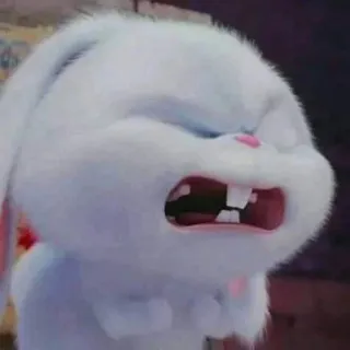 😤 Snowball The Secret Life of Pets coelho, animal, desenho animado, fofo, animal de estimação, bravo, furioso whatsapp sticker