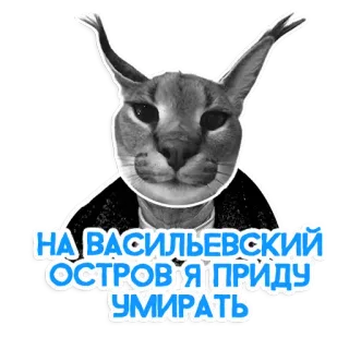 🔳 НА ВАСИЛЬЕВСКИЙ ОСТРОВ Я ПРИДУ УМИРАТЬ kot, Floppa, rosyjski, zwierzę, mem telegram sticker