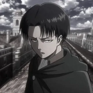 🛹 Levi Ackerman Attack on Titan anime, manga, attack on titan, levi, levi ackerman telegram sticker