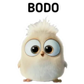 🙃 BODO pájaro, animal, lindo, dibujo animado, Bodo telegram sticker