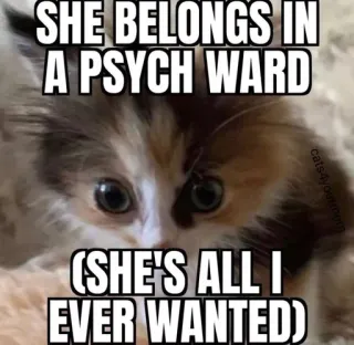 😜 SHE BELONGS IN A PSYCH WARD (SHE'S ALL I EVER WANTED) telegram sticker