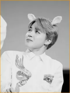 ▪️ Jimin kpop, idol, jimin, bts, hasenohren telegram sticker
