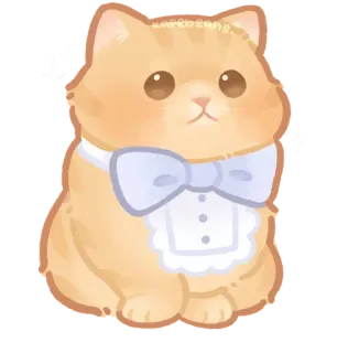 🐾 猫, 子猫, 可愛い, 動物, 飼い猫, ペット, オレンジ猫 telegram sticker