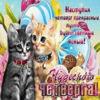 4️⃣ Наступил четверг прекрасный, пусть он будет светлым, ясным! Чудесного четверга! whatsapp sticker