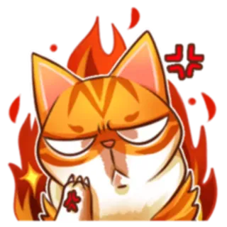 Кот Budweiser @StikerDi telegram stickers