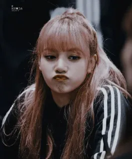 ☹️ Lisa Lisa, K-pop, chanteuse, BLACKPINK, célébrité telegram sticker