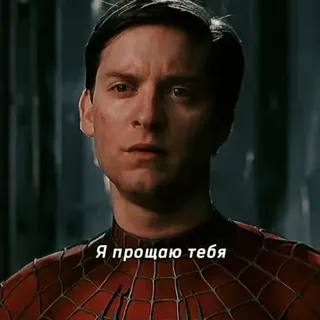 🙏 Spider-Man Я прощаю тебя spiderman, film, perdonare, supereroe, tobey maguire telegram sticker