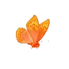 🦋